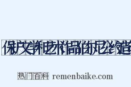 保护文学和艺术作品伯尔尼公约造句是什么意思的图片
